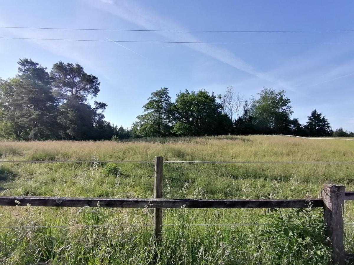 Tiny X Im Marxhof Seebruck Am Chiemsee Апартаменты