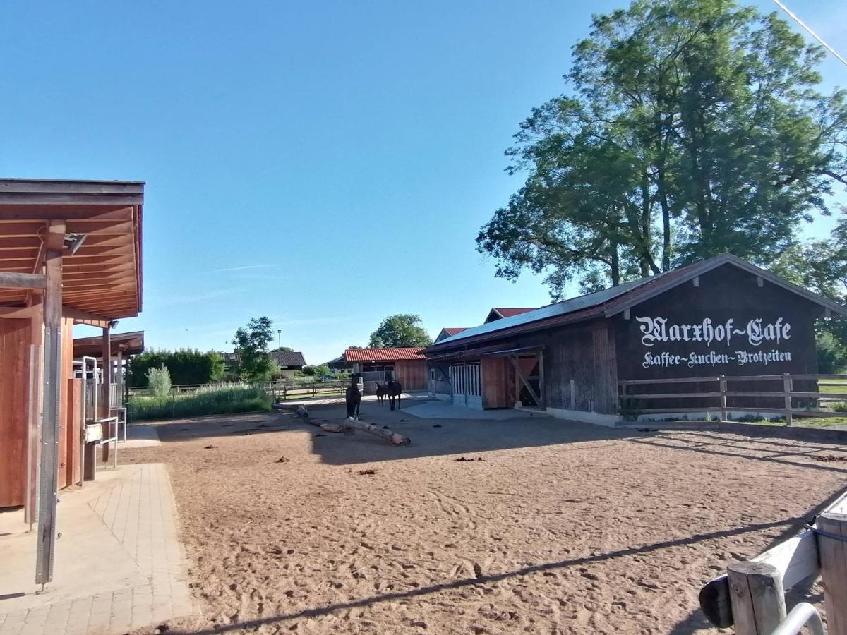 Apartment Tiny X Im Marxhof Seebruck Am Chiemsee