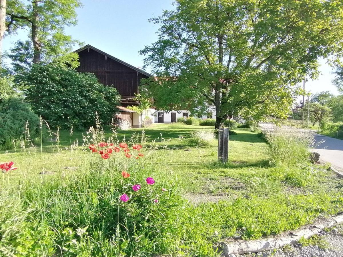 Tiny X Im Marxhof Seebruck Am Chiemsee *